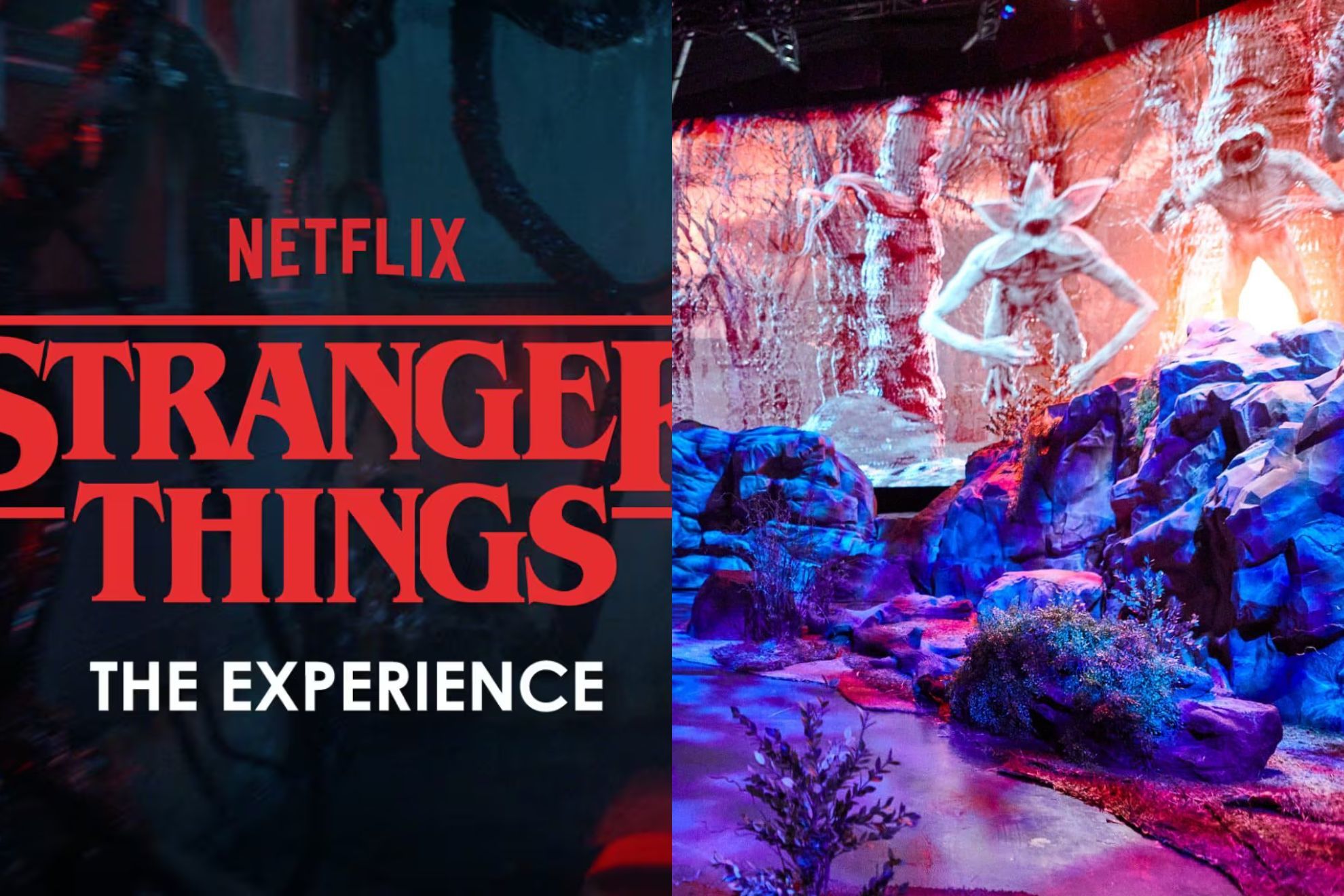�Cu�l es la edad m�nima para entrar a Stranger Things The Experience y por qu� existen restricciones?