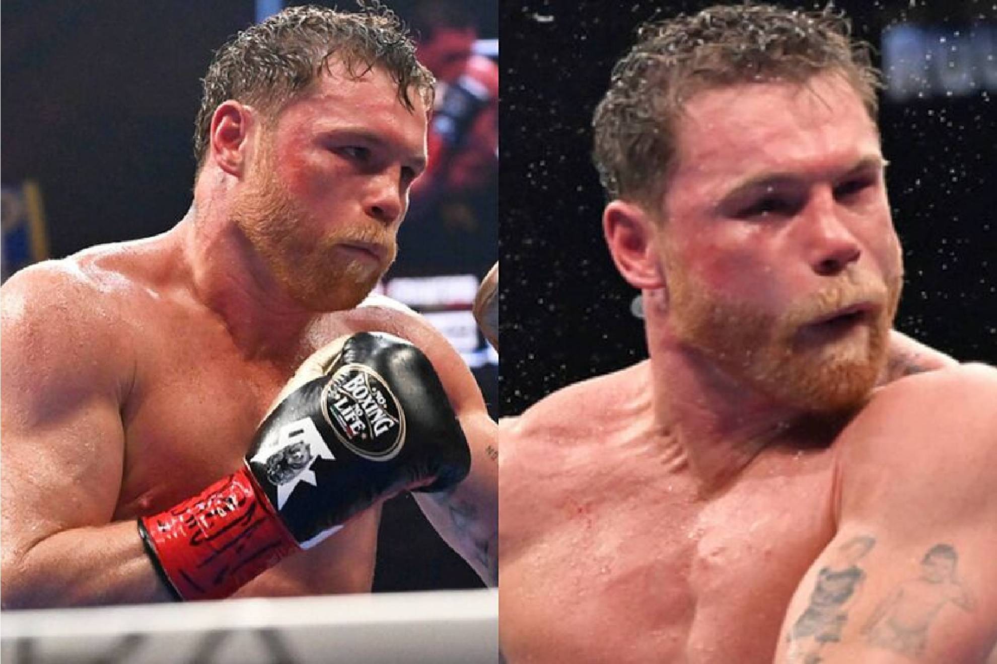 'Ordenan' pelea para Canelo �lvarez por el campeonato mundial en 2026