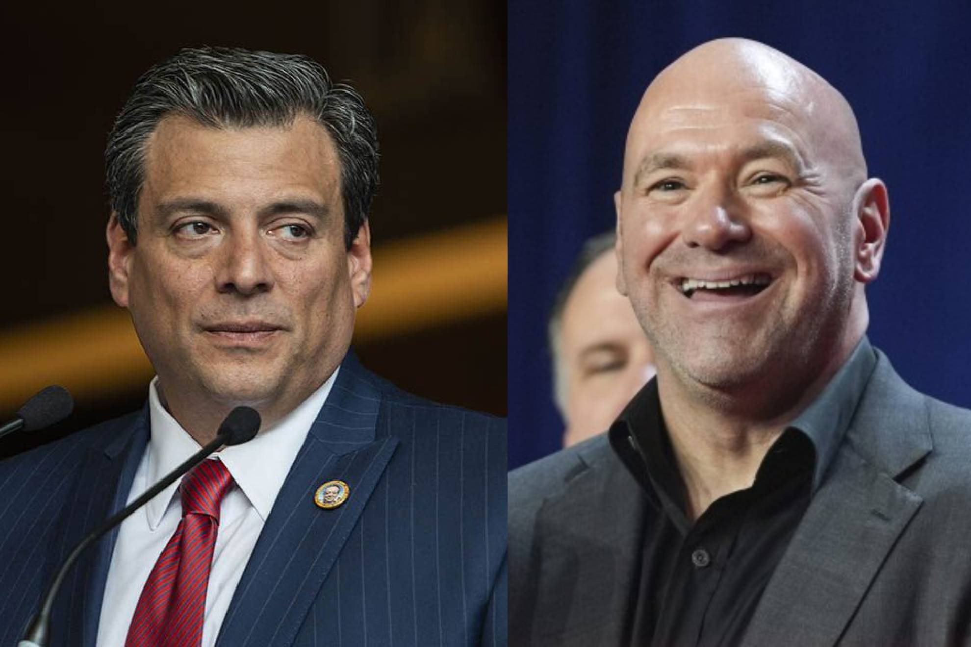 Mauricio Sulaim�n contra Dana White y Zuffa Boxing