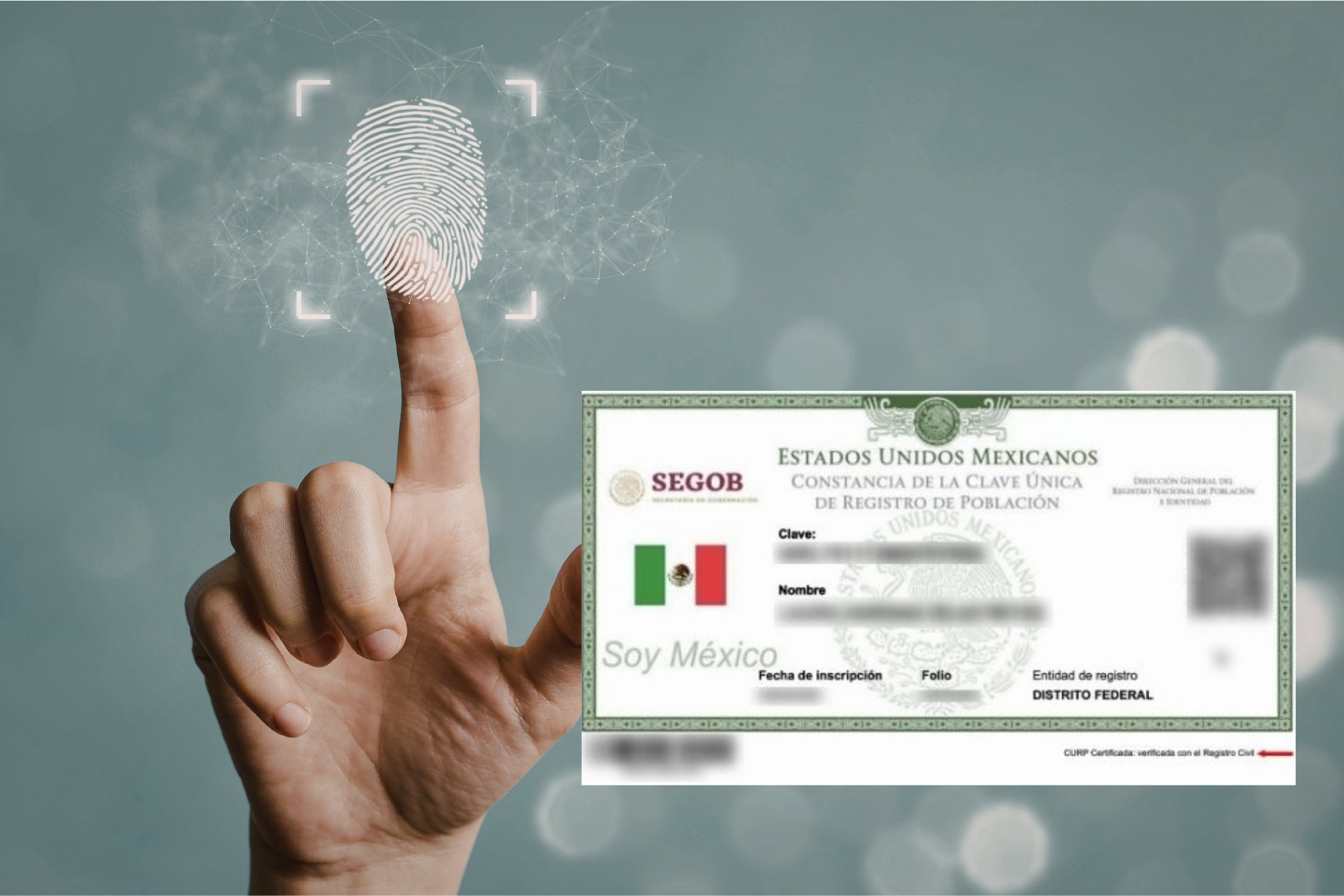 CURP Biom�trica en l�nea: �C�mo puedes tramitarla desde tu tel�fono f�cilmente?