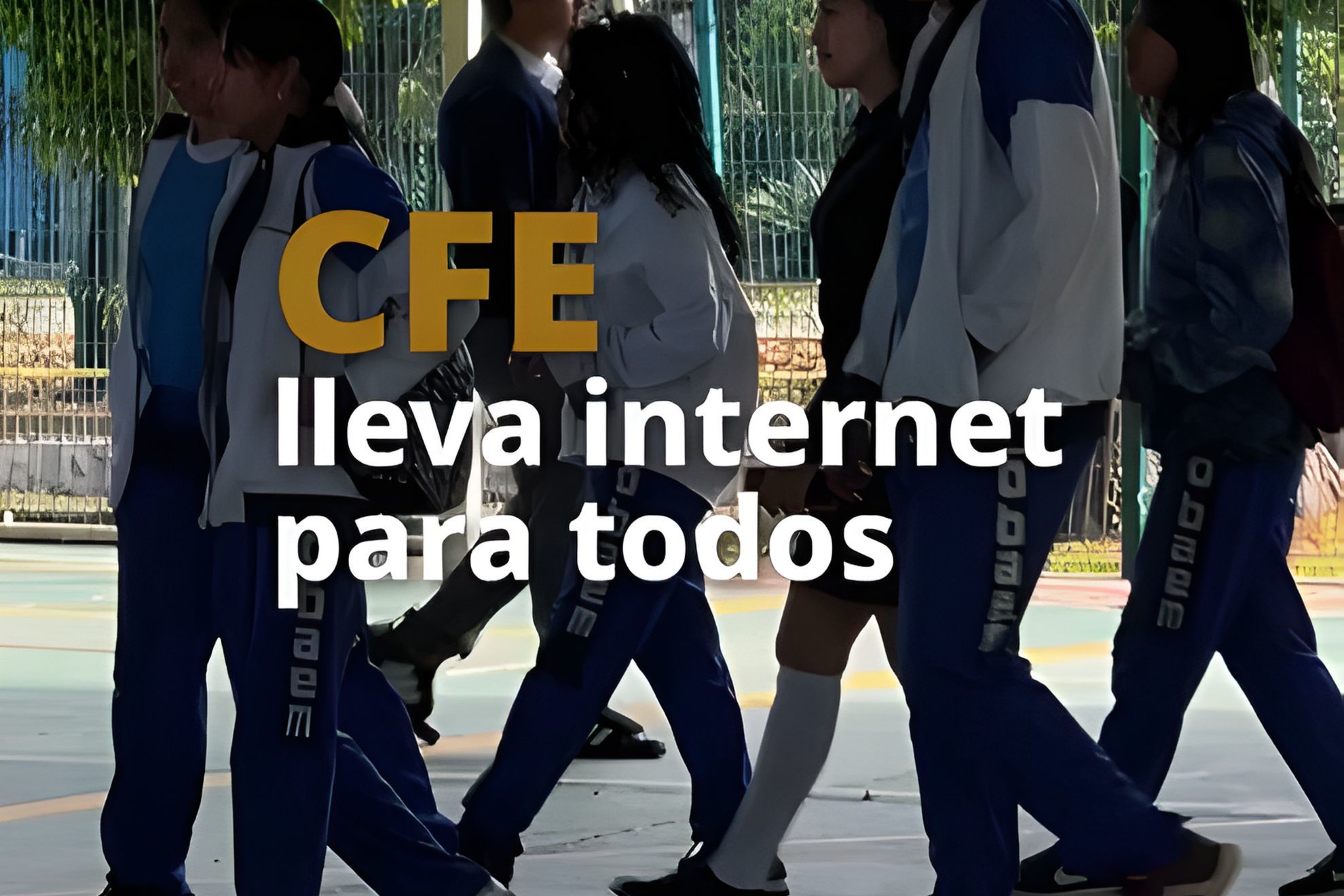 �Internet barato de la CFE desde 95 pesos al mes? As� puedes contratar el servicio y qui�nes aplican