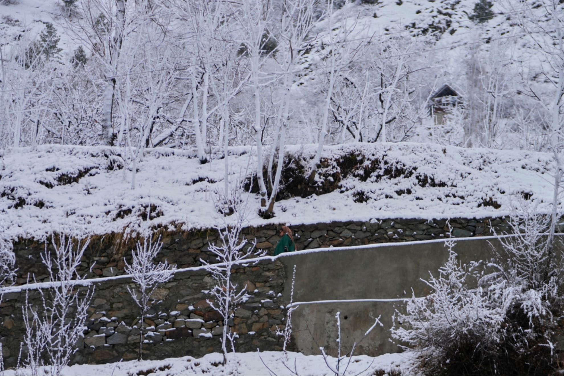Una mujer camina por un camino cubierto de nieve afuera de su casa despu�s de una nueva nevada.