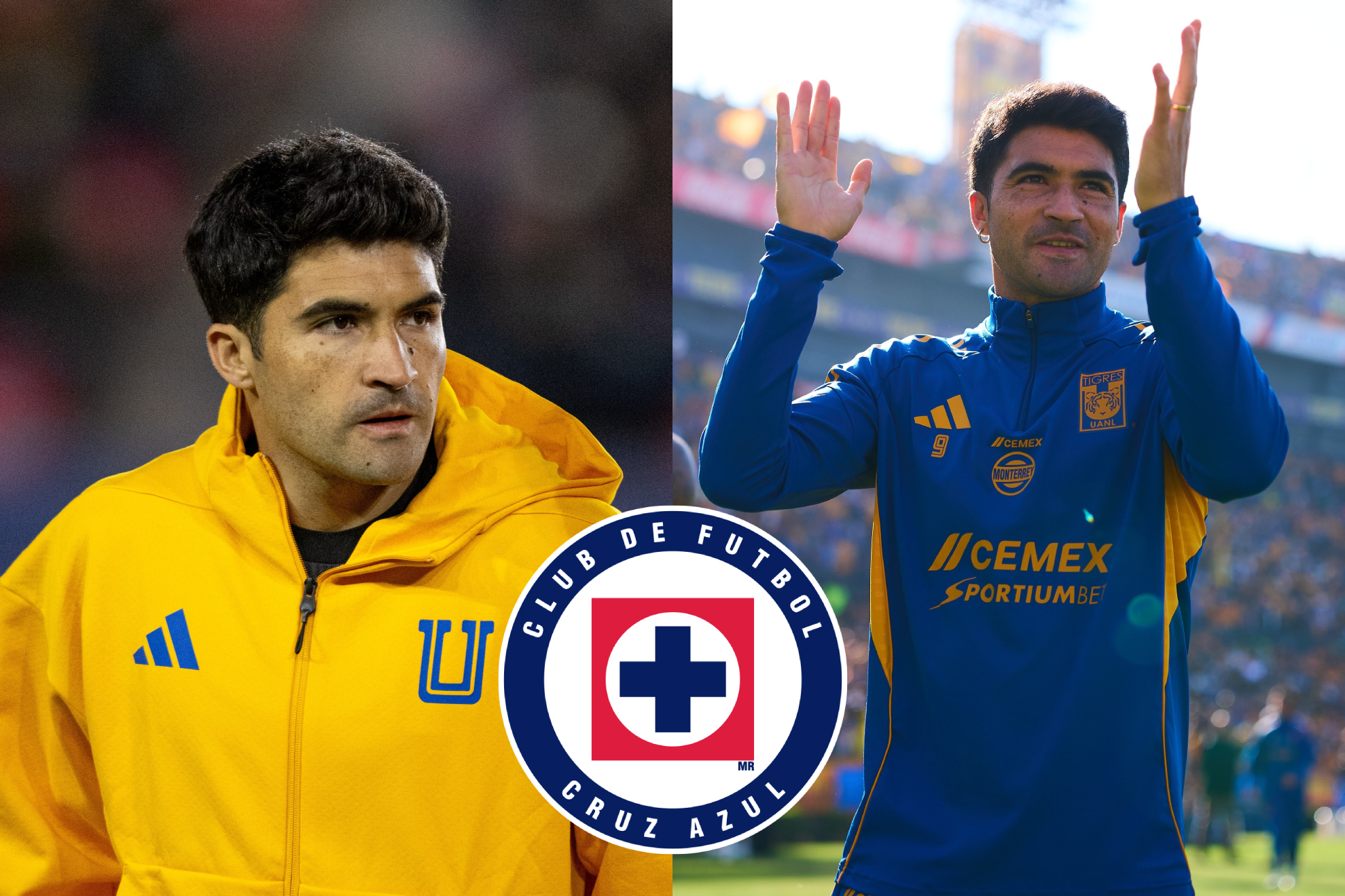 Nicol�s Ib��ez