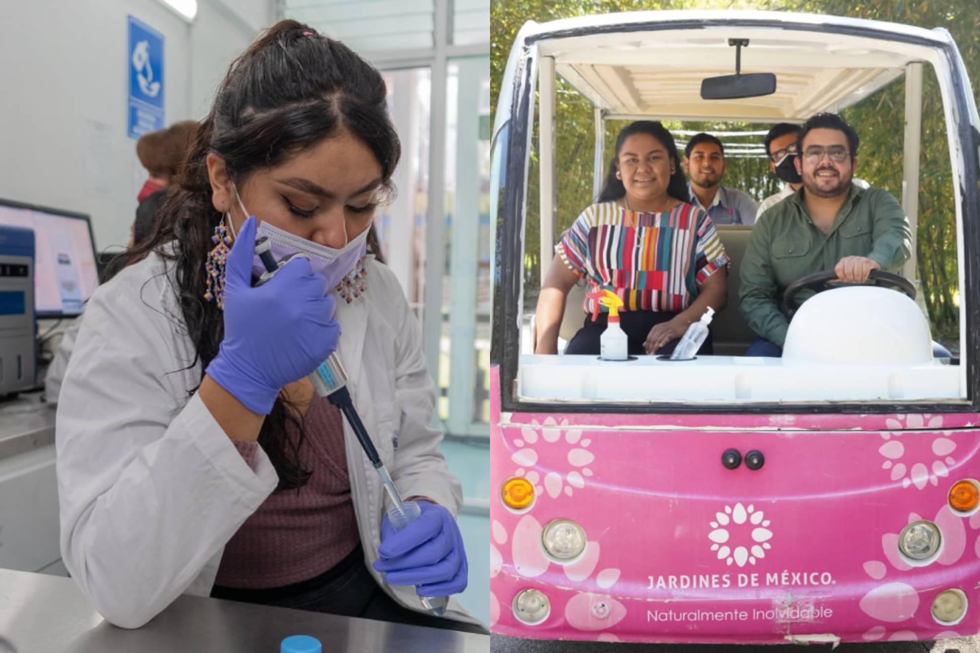 J�venes Construyendo el Futuro.