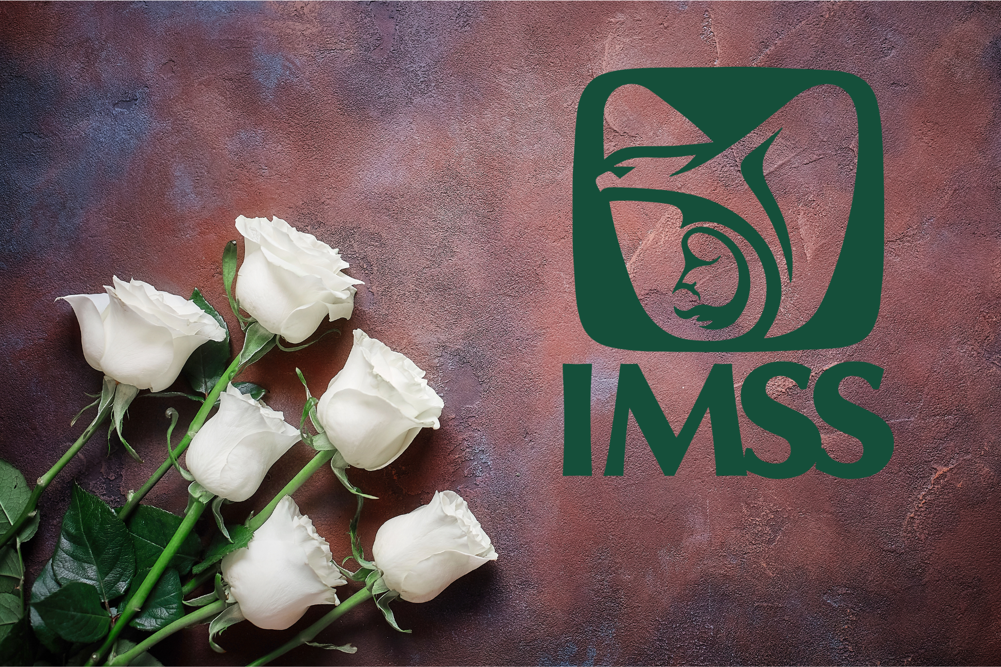 �Te negaron la pensi�n de viudez del IMSS? Esto es lo que se sabe del fallo y c�mo solicitar revisi�n
