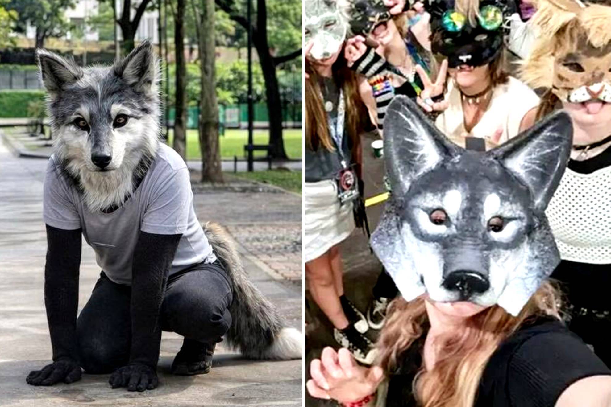 Movimiento Therian 2026 |