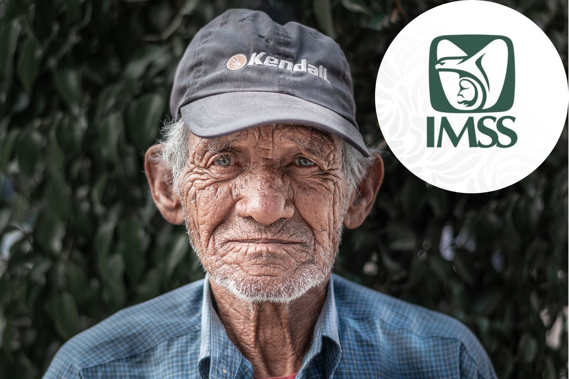 �Cu�ndo se paga la Pensi�n IMSS en Marzo 2026? Te decimos la fecha en la que se deposita