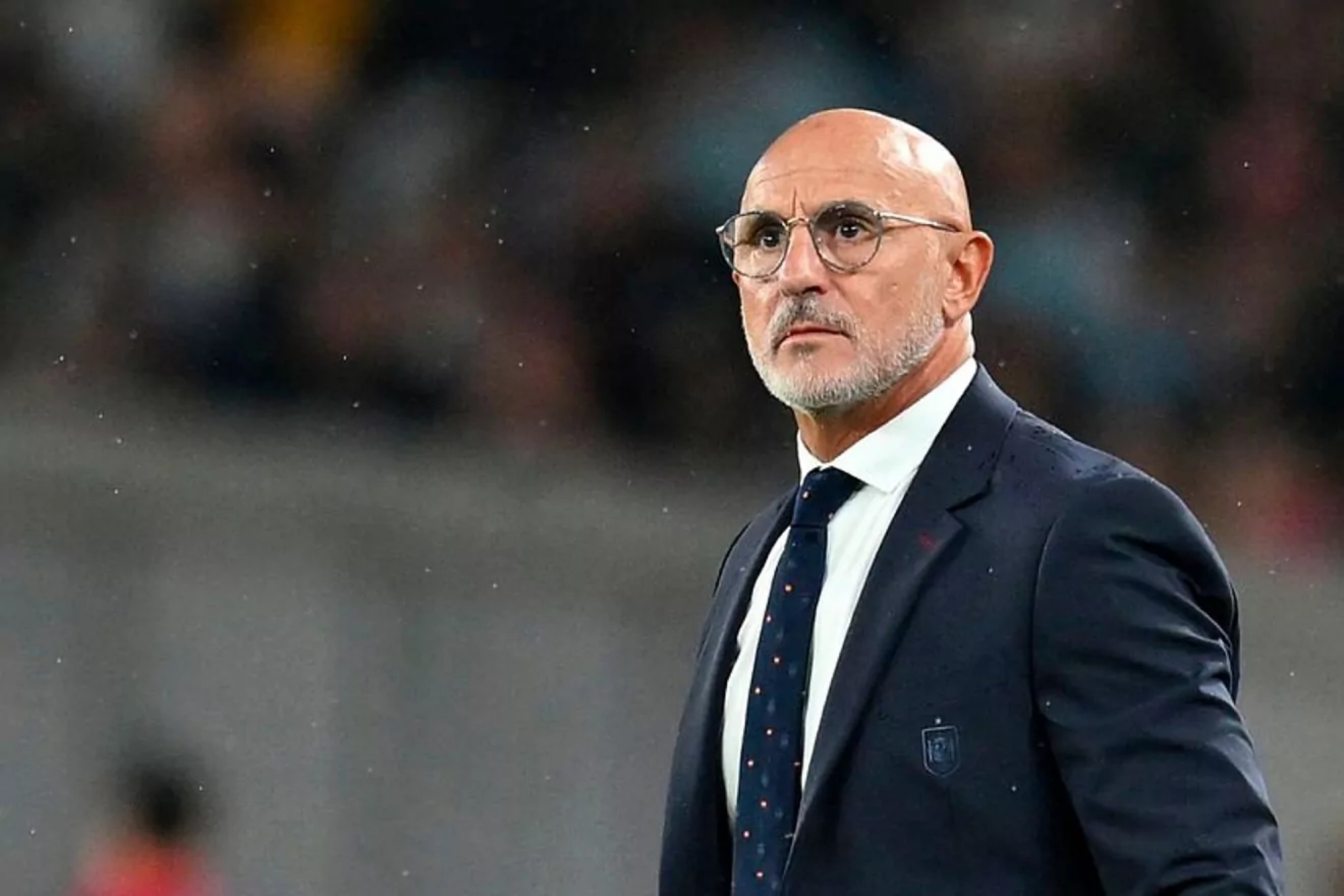 De la Fuente, seleccionador de Espa�a