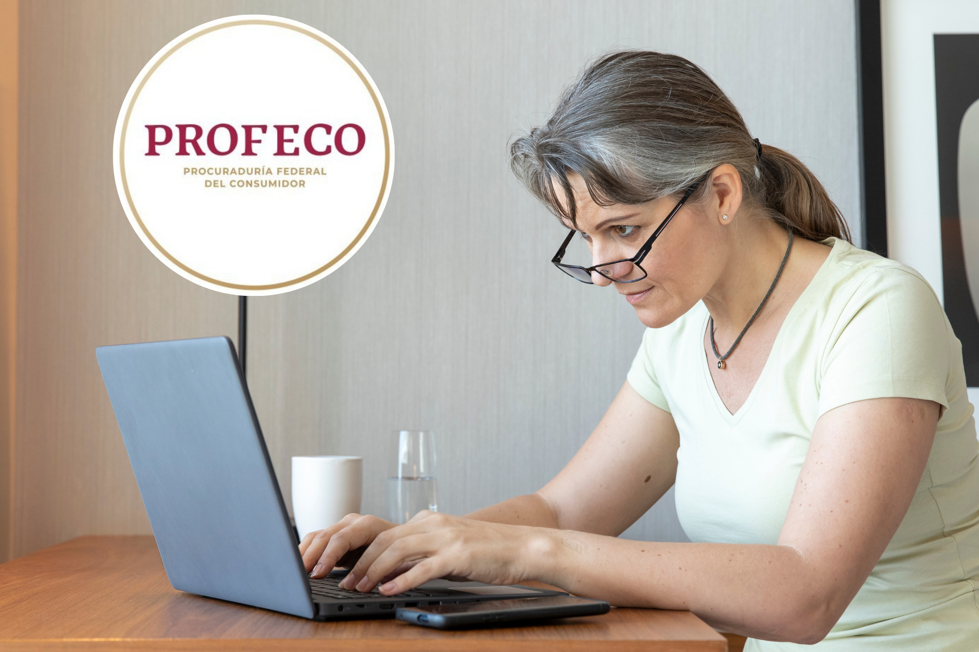 �Cu�nto tiempo tengo para presentar una queja ante Profeco en l�nea?