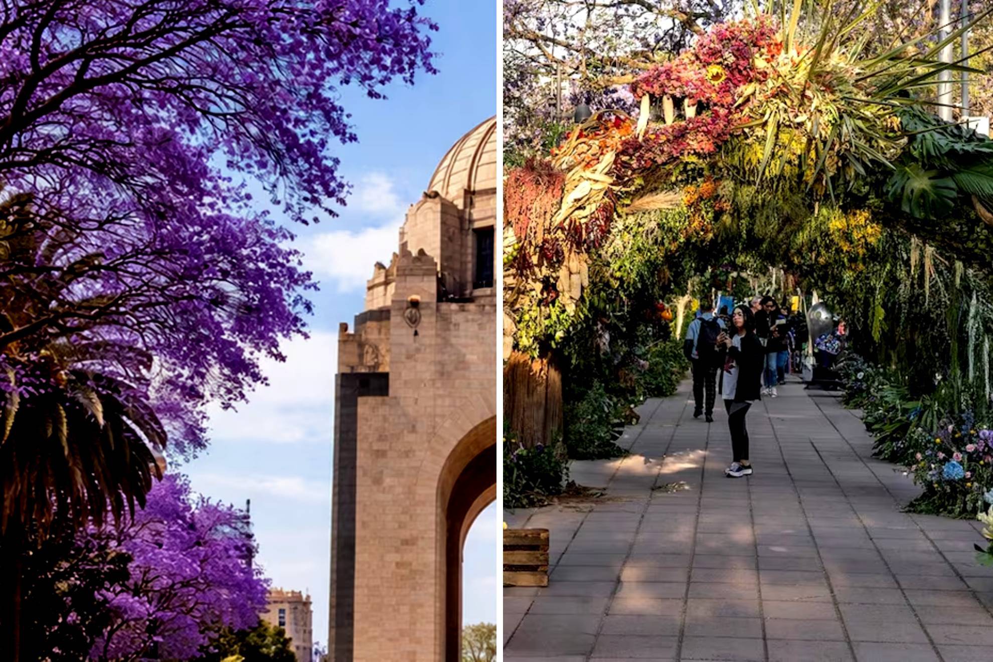 Festival de las Flores CDMX |