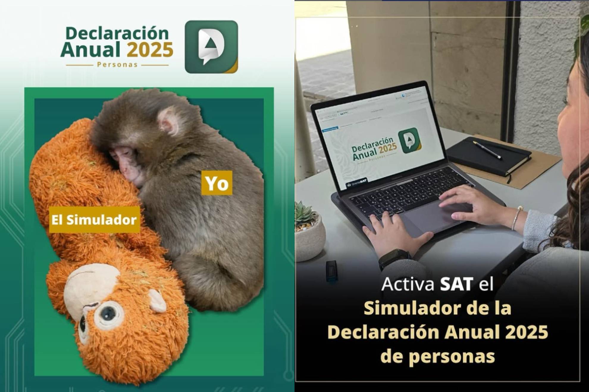 Declaraci�n Anual 2025 al SAT.