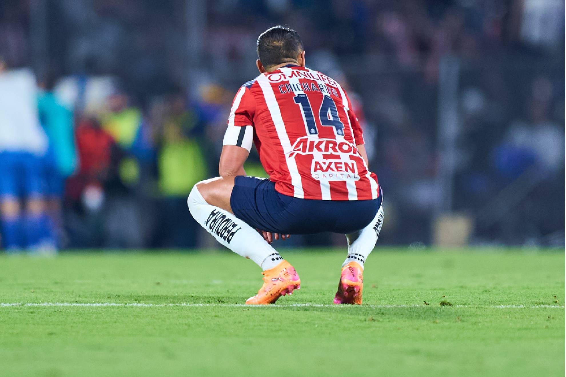 Chicharito Hern�ndez