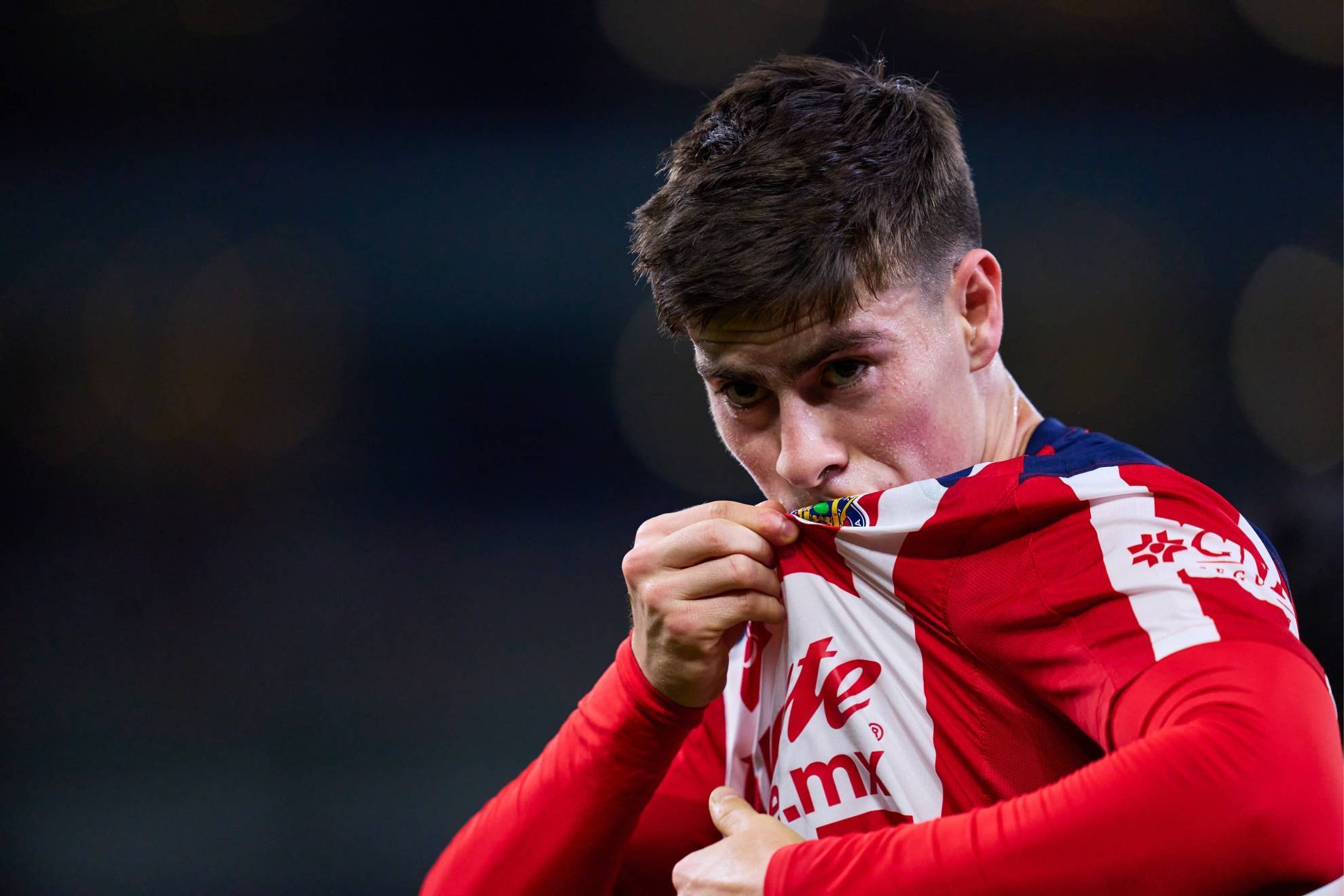 La Hormiga Gonz�lez