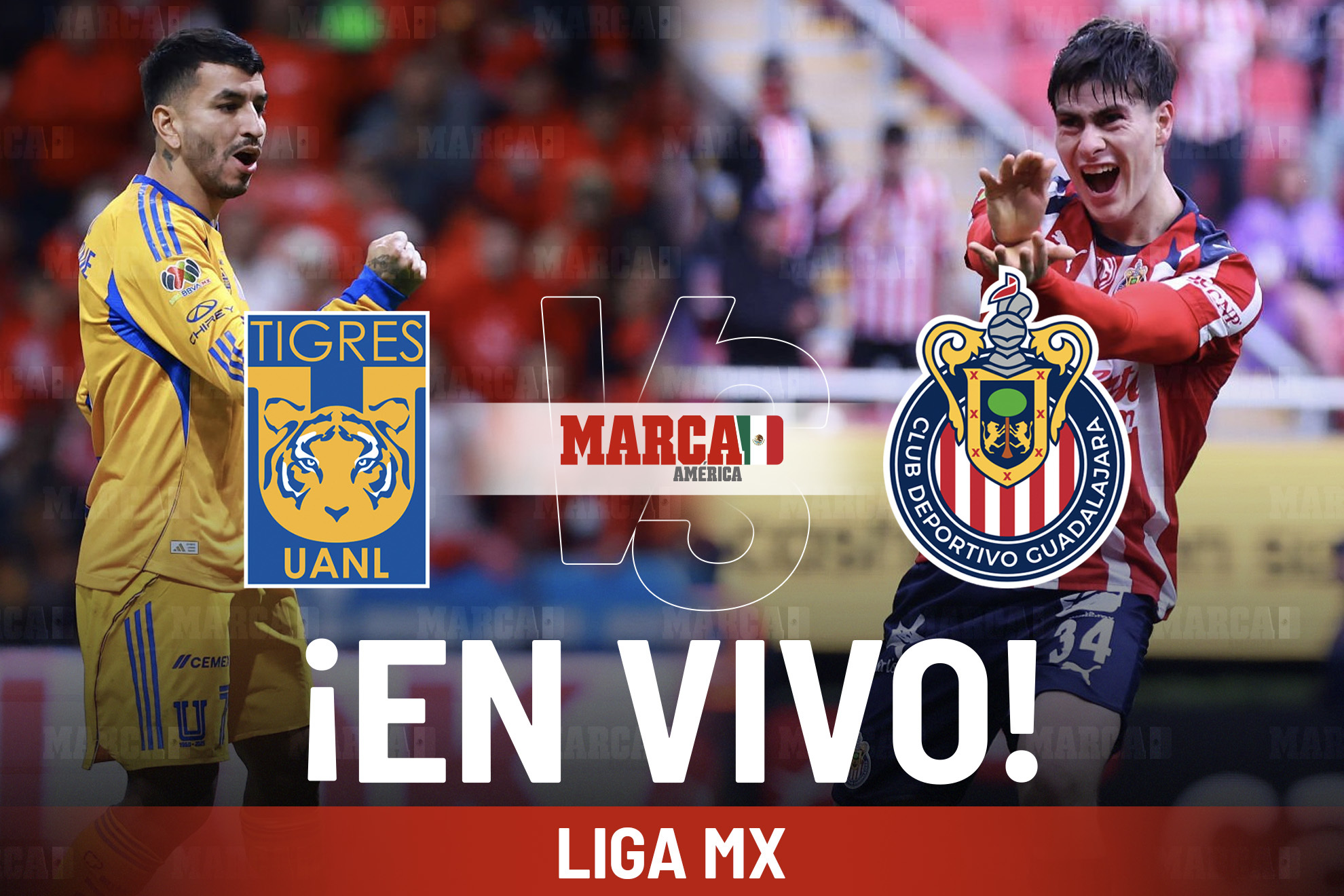 Tigres vs Chivas EN VIVO Hoy. Partido de Ángel Correa vs Hormiga