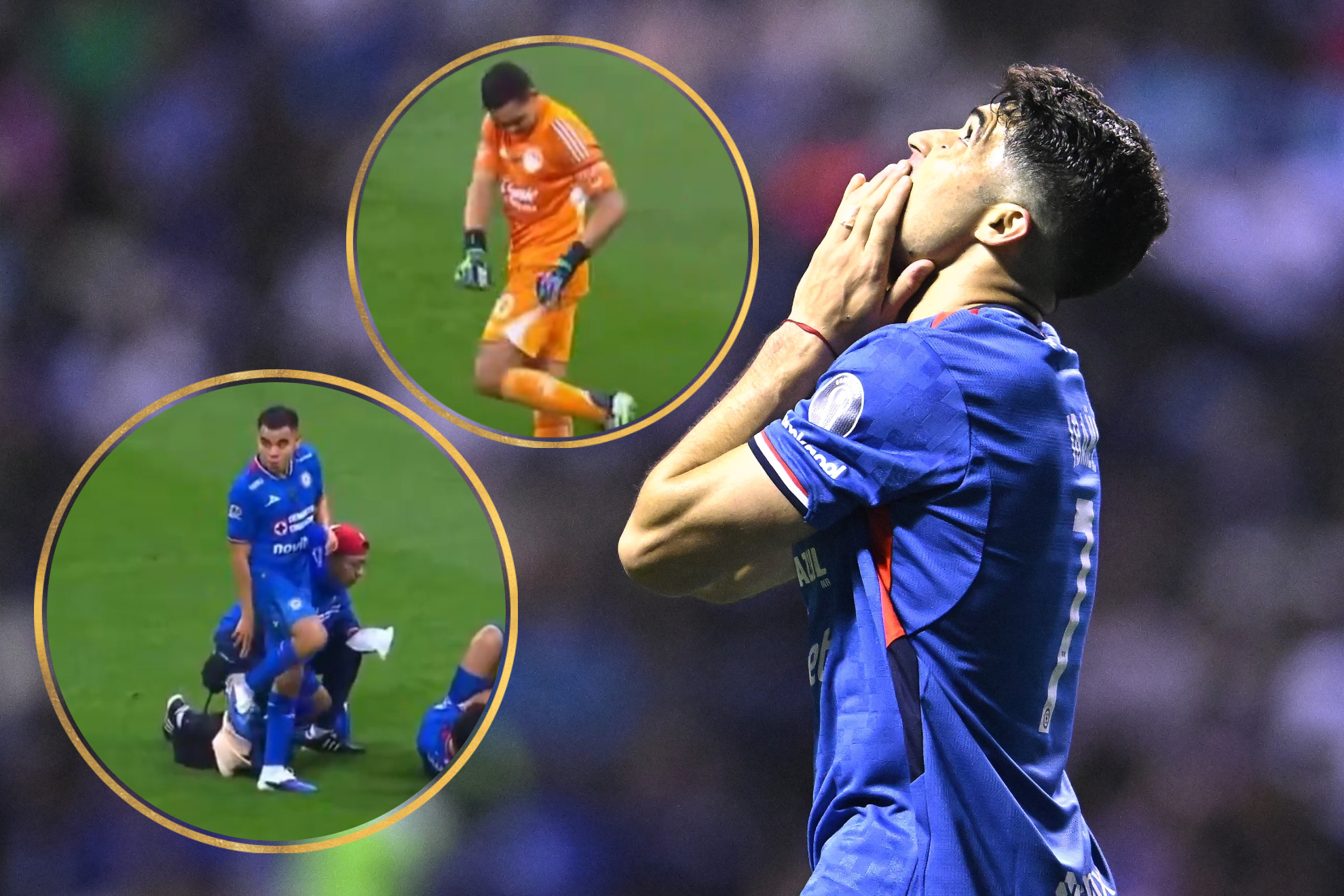 Nicol�s Ib��ez