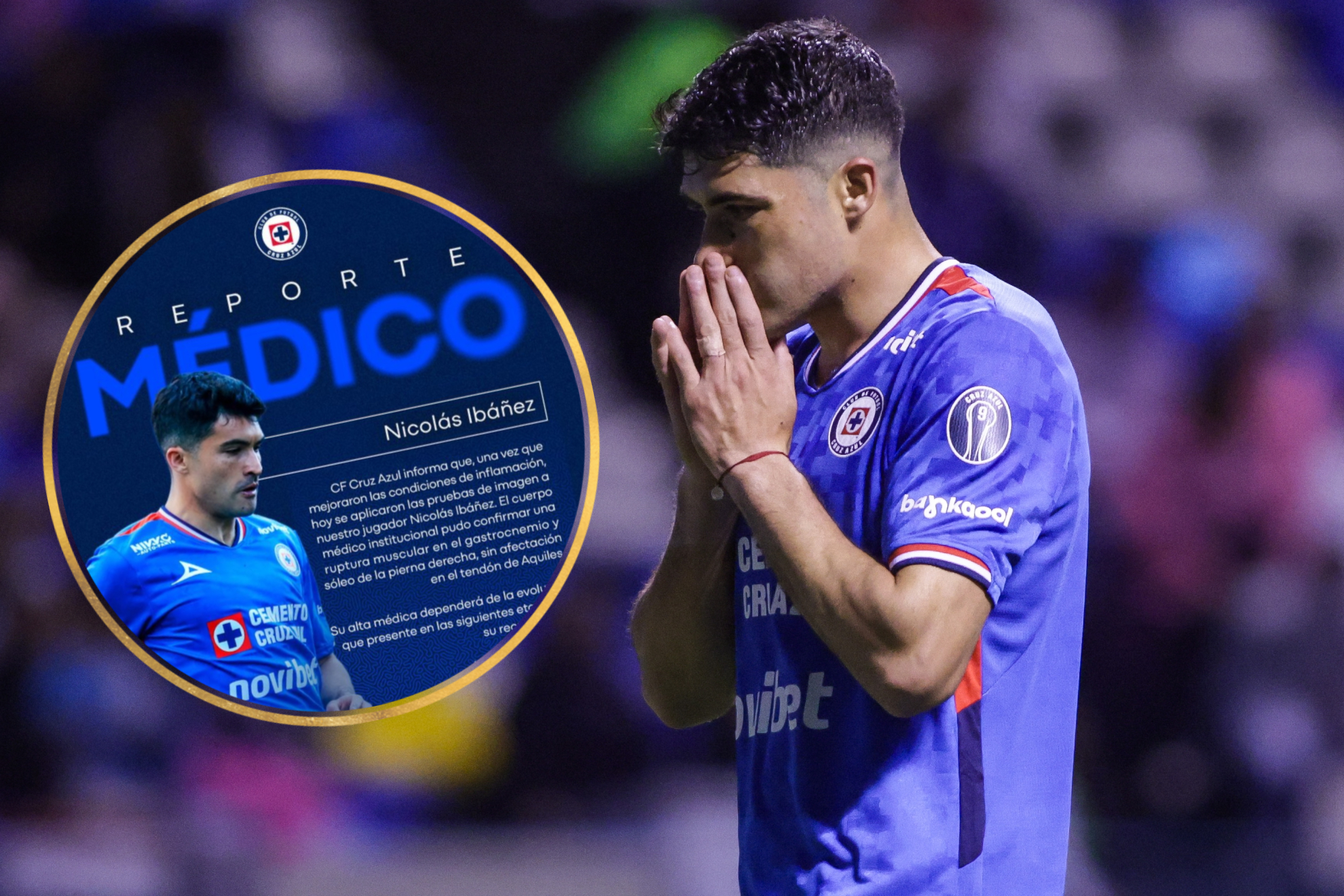 Nicol�s Ib��ez