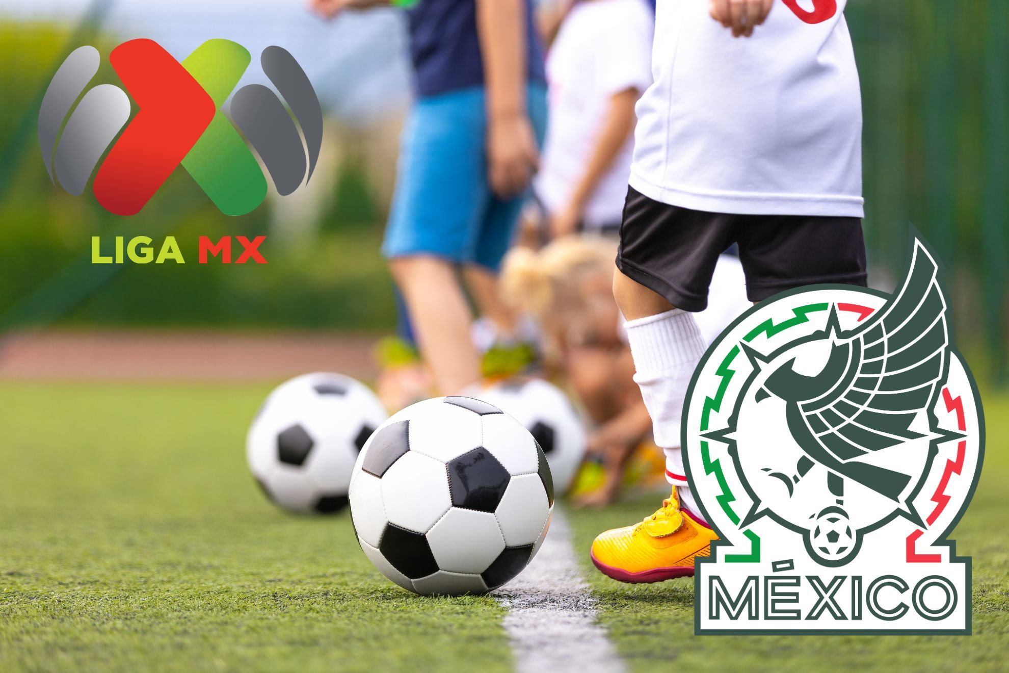Adi�s a las patito: FMF quiere certificar academias del futbol mexicano; la duda es si lo ven como negocio o ayuda a Liga MX