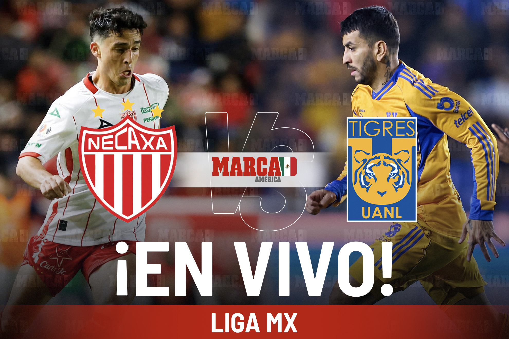 �C�mo qued� Necaxa vs Tigres? Cronolog�a y narraci�n del juego de la Jornada 15 de Liga MX
