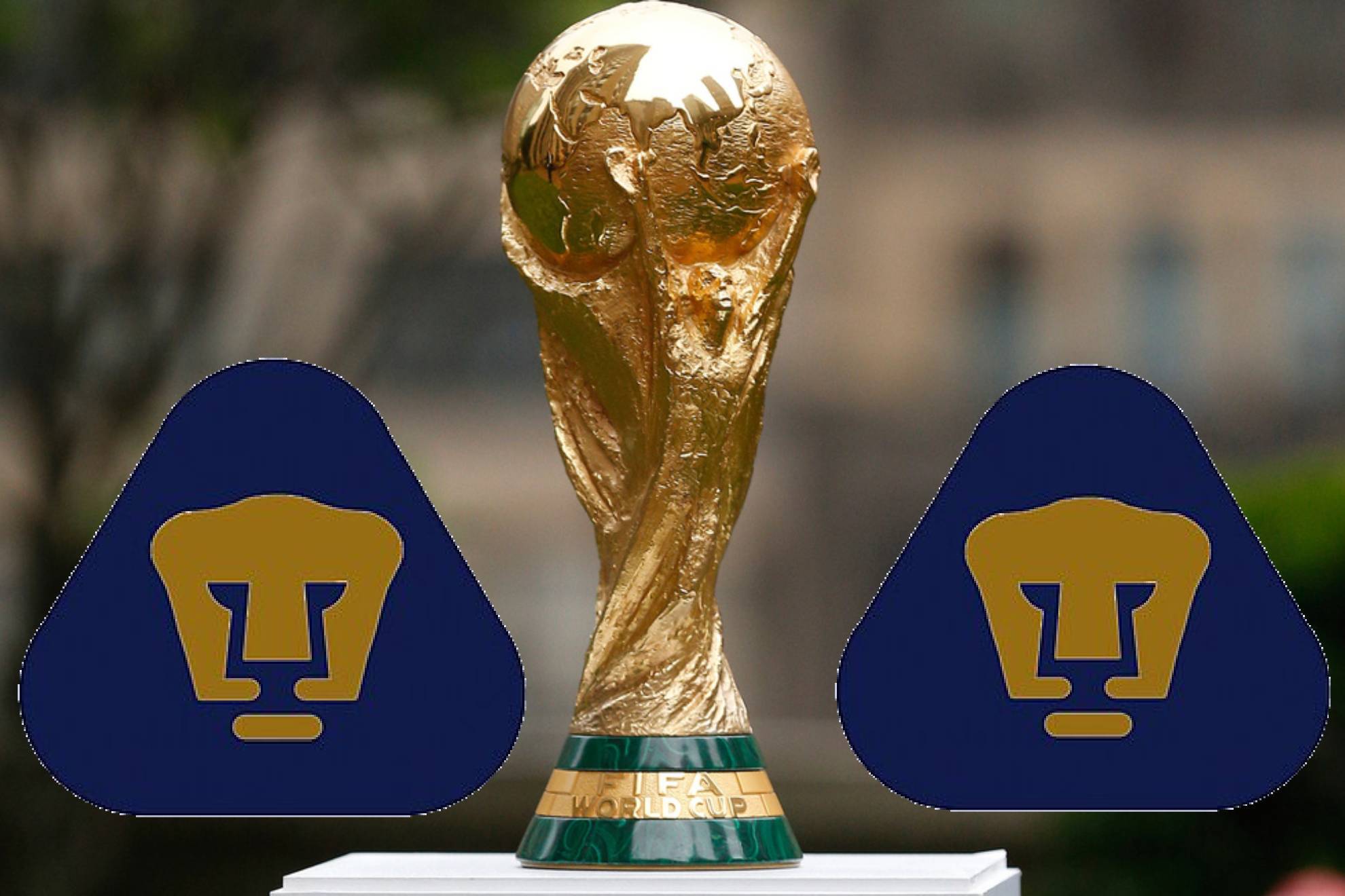Trofeo de la Copa Mundial de la FIFA.
