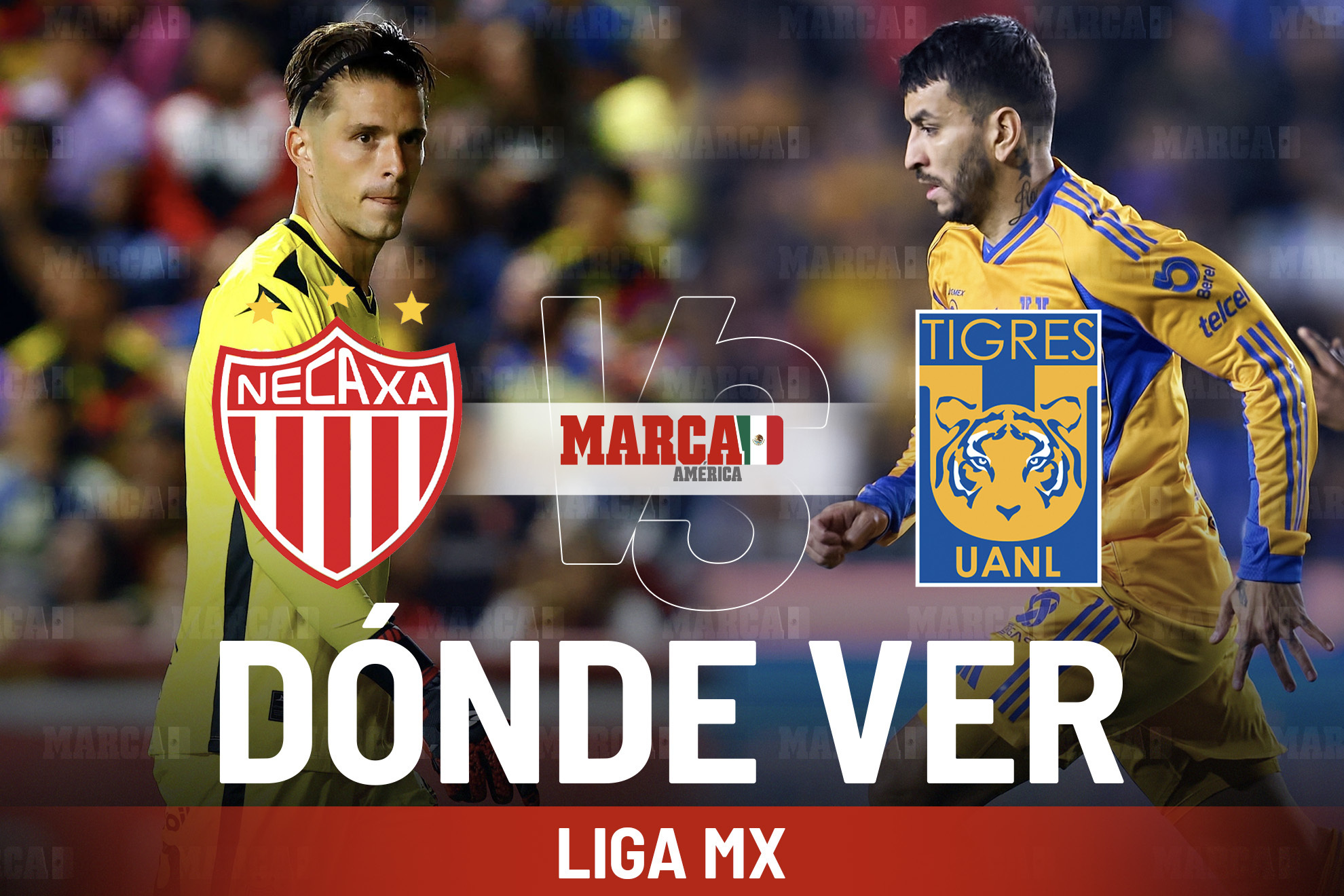 Necaxa vs Tigres: D�nde ver el partido de los Rayos, pron�stico y horario de la fecha 15