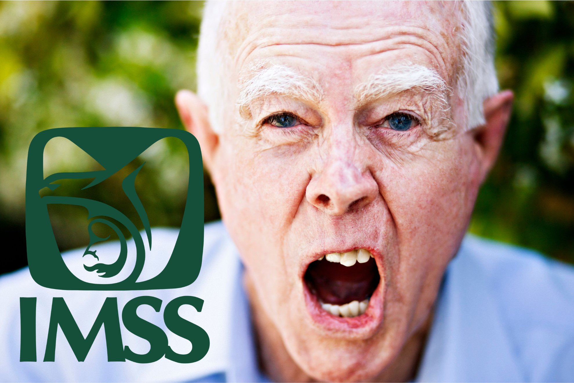 Suspensi�n Pensi�n IMSS Mayo 2026: �Qui�nes perder�an su pensi�n el pr�ximo mes?