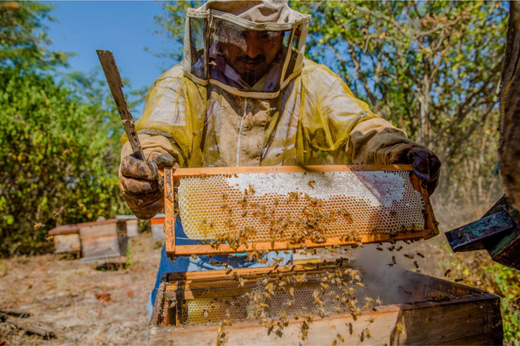 Calendario de pagos de Producci�n para el Bienestar mayo 2026: fechas, lista de beneficiarios y montos