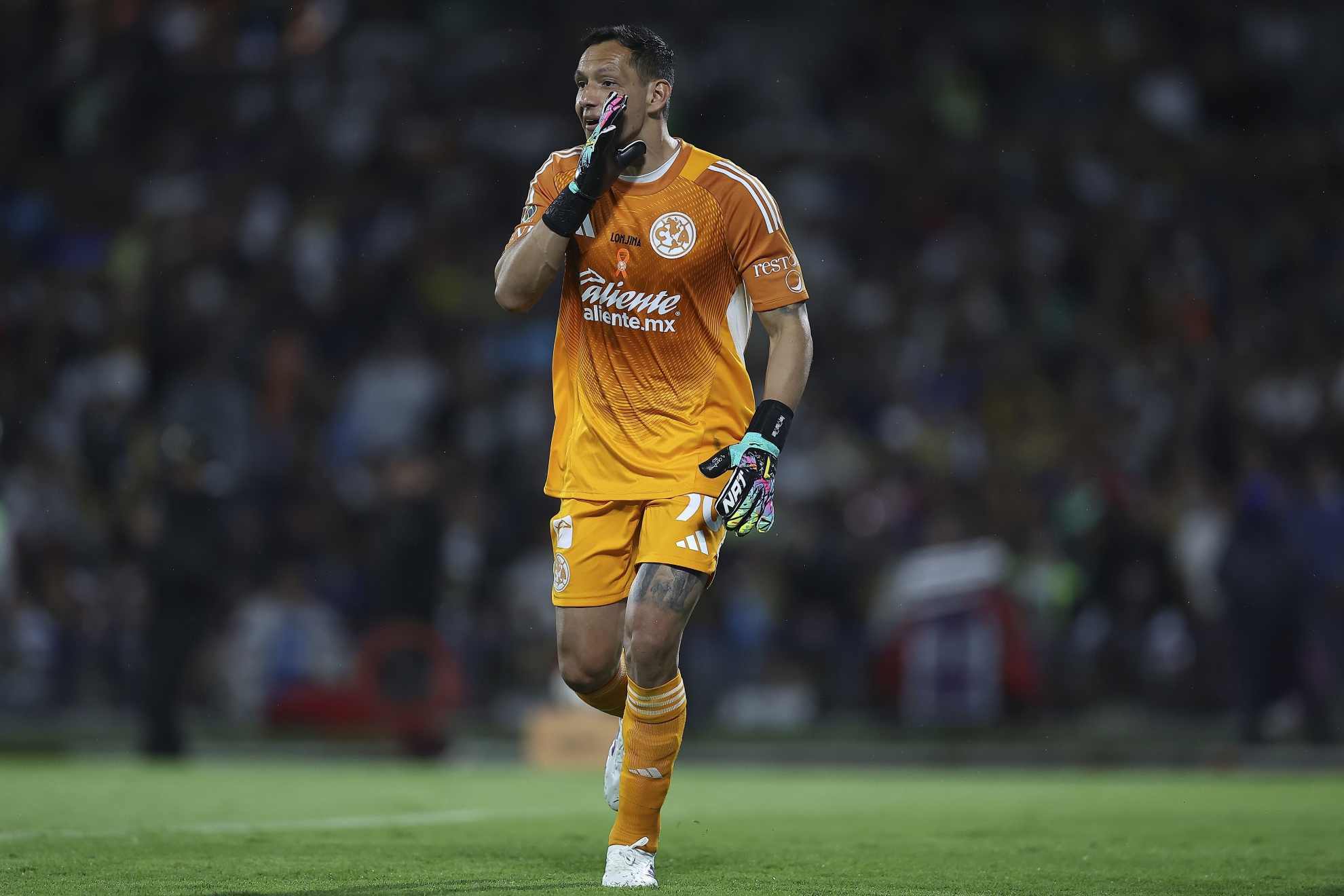 Rodolfo Cota, en un partido con el Am�rica /