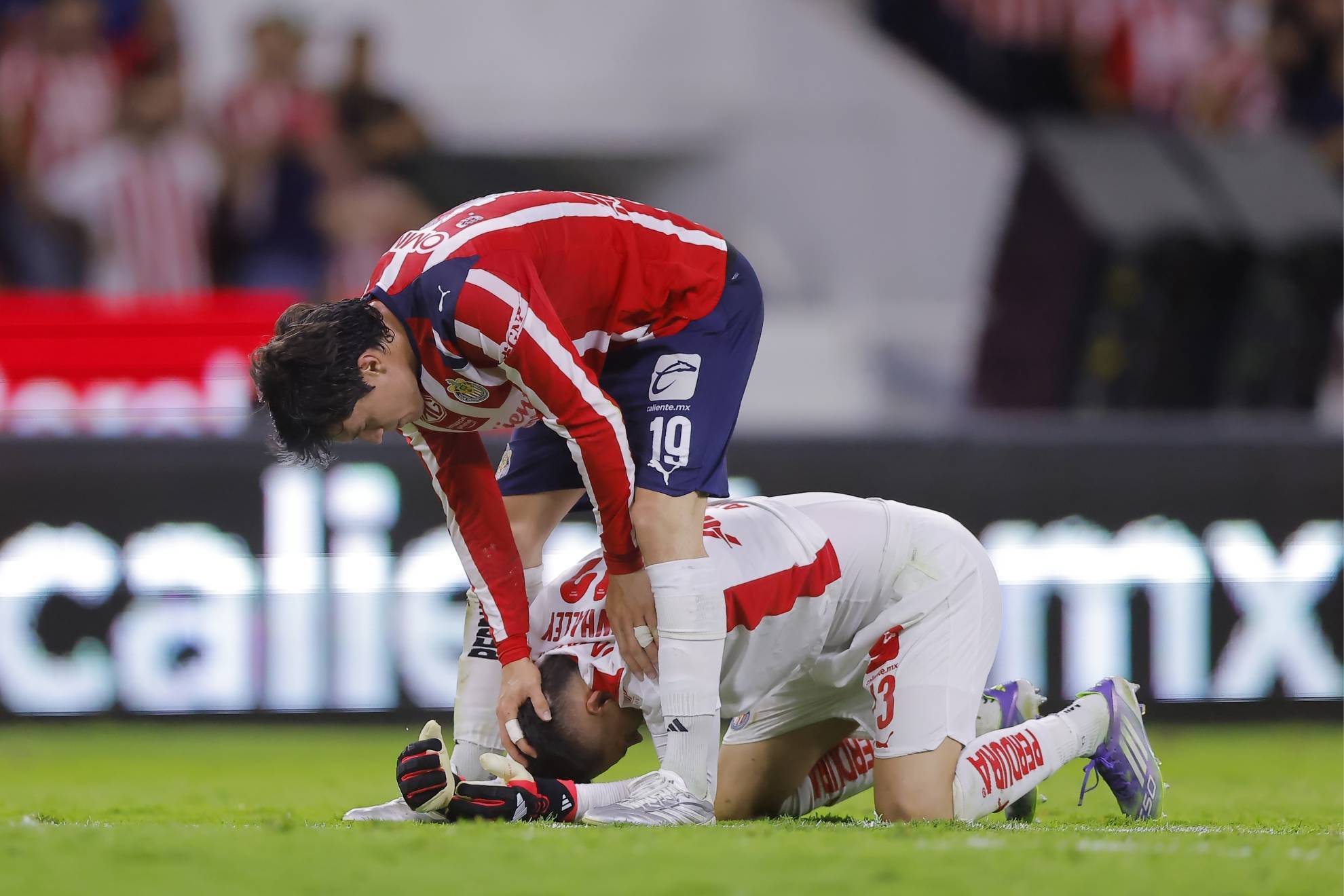 �scar Whalley & Diego Campillo
